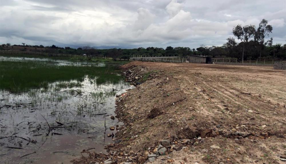 50% das lagoas foram destruídas nos últimos 30 anos, em Feira