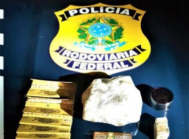 Cães farejadores identificam skunk em bagageiro de ônibus na BR-116