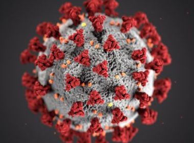 Lambda: Variante se espalha pela América do Sul mas vacina pode neutralizar cepa