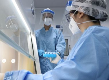 Cientistas estudam eficácia de remédio de cachorro no combate contra a Covid em humanos