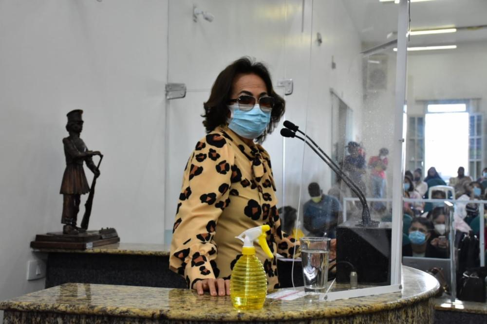 Secretária de Educação responde questionamentos de vereadores em Sessão Especial na Câmara