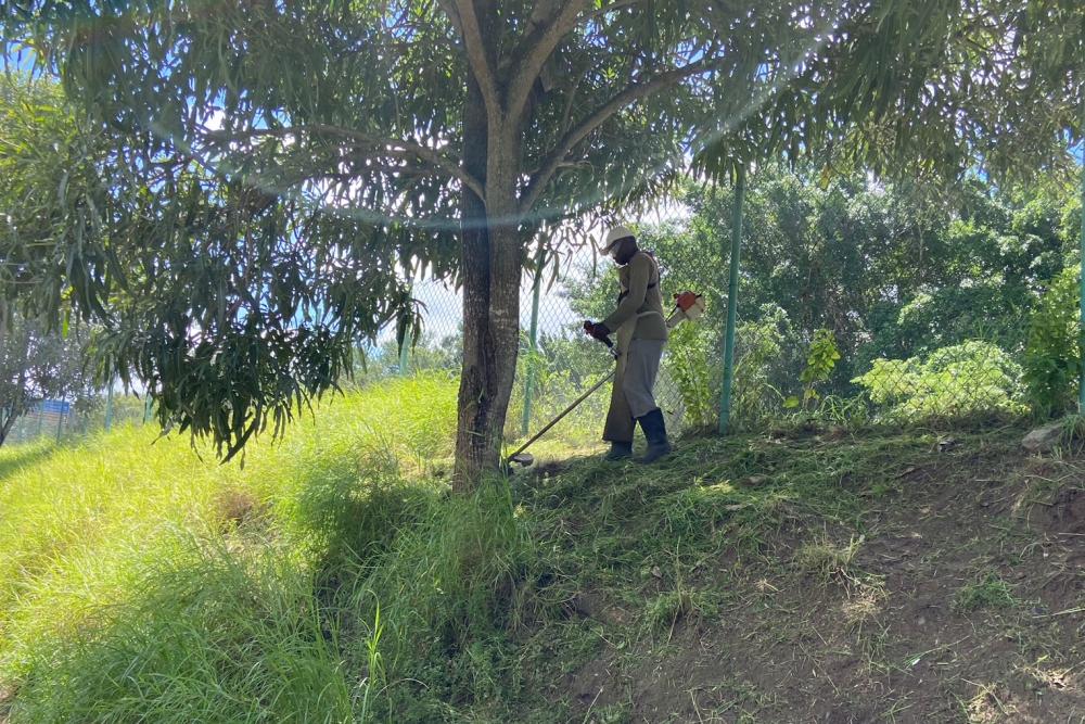 Fechados há um ano, parques municipais estão sendo preparados para reabertura