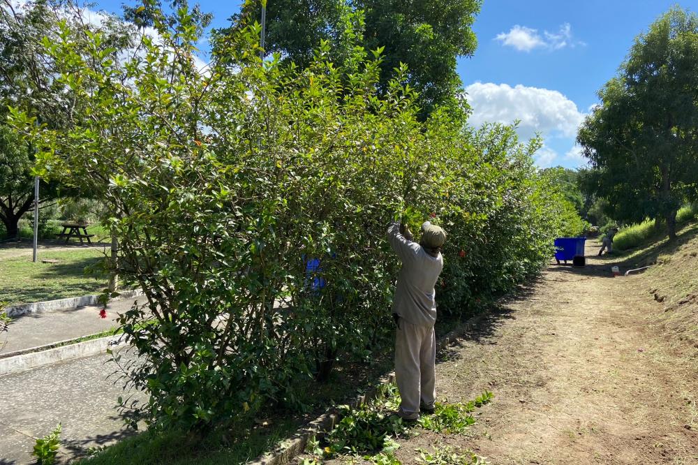Fechados há um ano, Secretaria de Serviços Públicos prepara parques para abertura