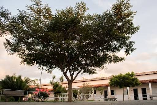 Prefeitura repassa verba parlamentar destinada ao Lar do Irmão Velho