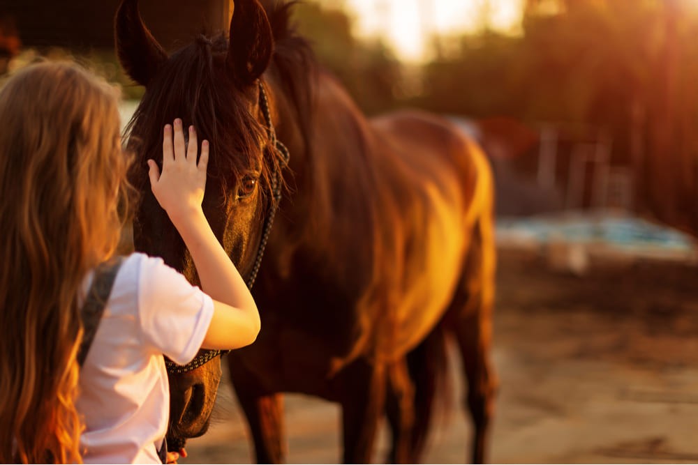 45 crianças são atendidas por projeto de Equoterapia da Polícia Militar, em Feira