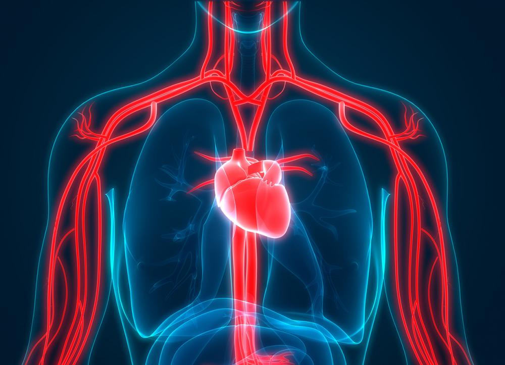 Polarização política têm afetado a saúde da população, alerta cardiologista