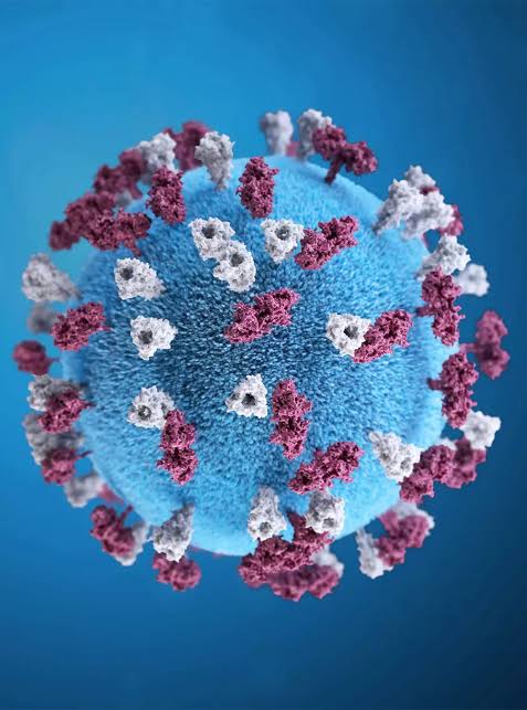 Feira de Santana registra 32 casos positivos da Covid-19 nesta quarta-feira (29)