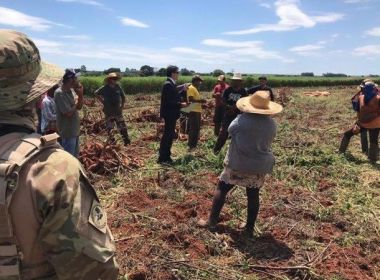 Desde 2010, Bahia é segundo estado do Nordeste com maior número de trabalhadores em atividade escrava