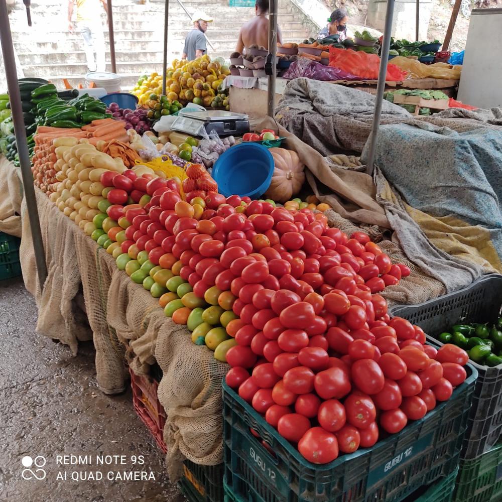 Tomate aumenta de valor e consumidores diminuem quantidade na compra do produto