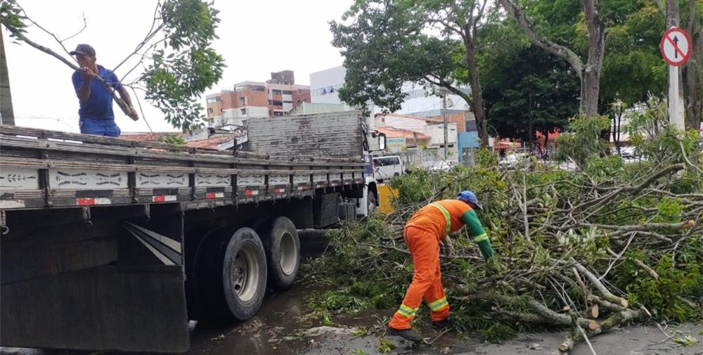 Prefeitura recolhe árvores que caíram após fortes chuvas no início desta tarde
