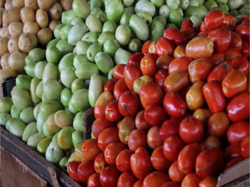 Cesta Básica registra novo aumento no mês de novembro