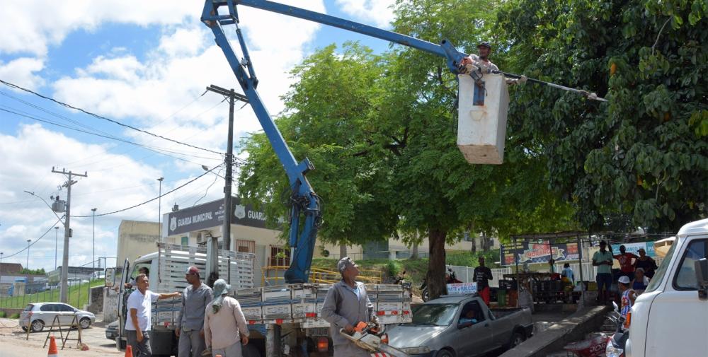 Poda de árvores é rotina em Feira de Santana