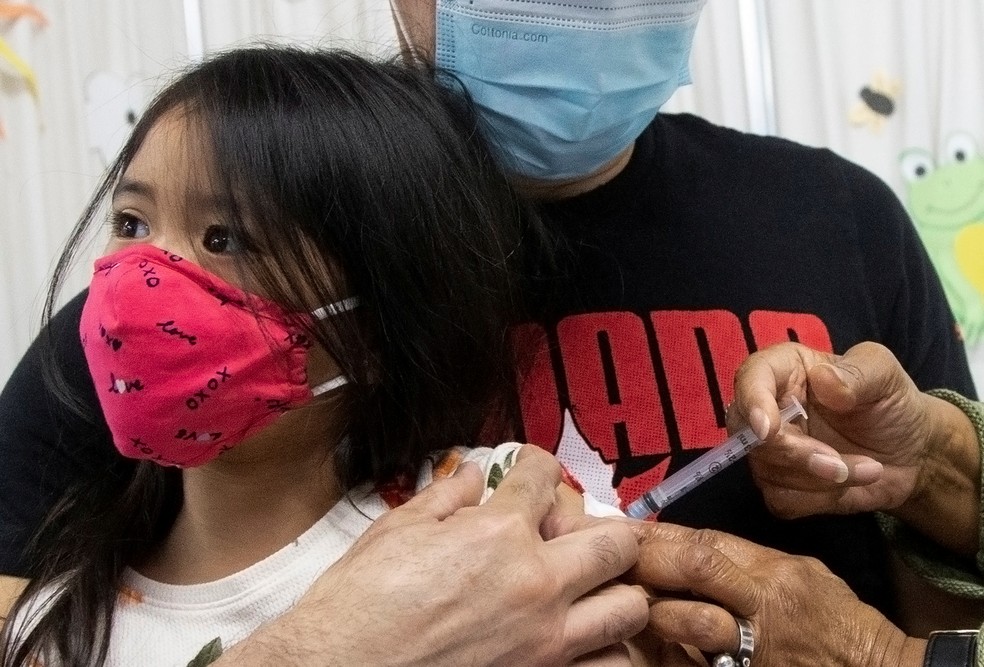 Secretária do Ministério da Saúde diz que 