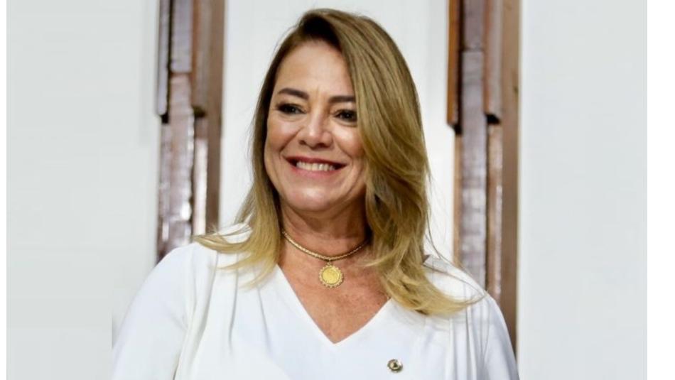 Deputado Fabíola Mansur apresenta moção de aplausos para profissionais da Defesa Civil da Bahia 