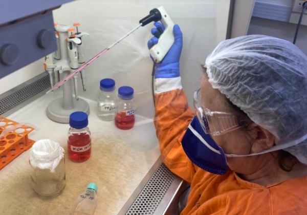 Brasil registra mais de 1,2 milhão de infecções por Covid-19 em uma semana