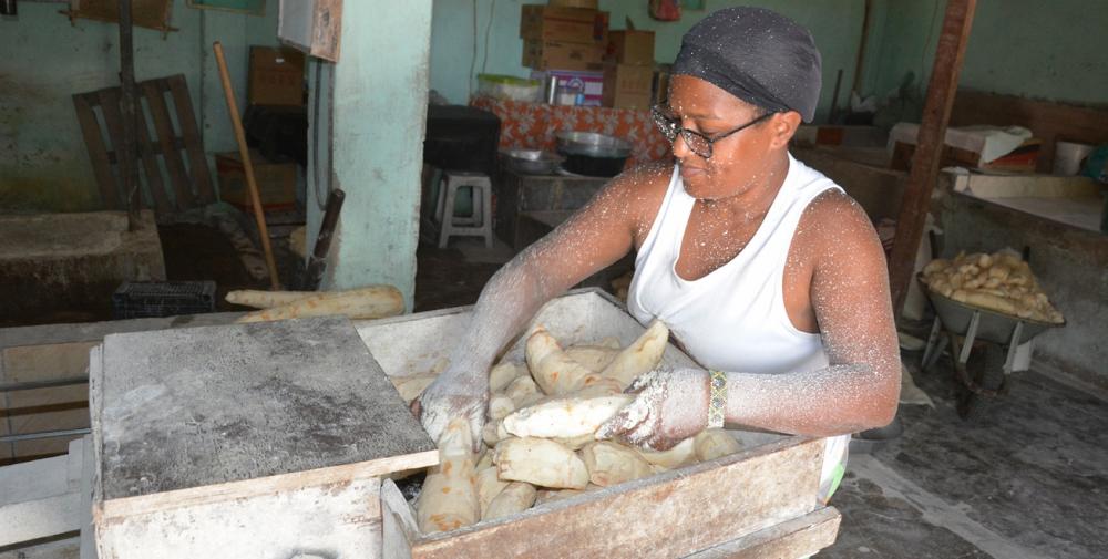 Prefeitura garante apoio do plantio da mandioca à produção da farinha